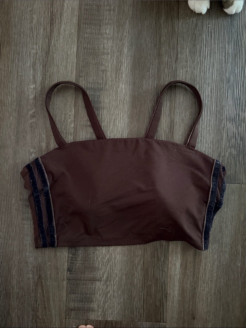 brown sports bra
